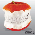 Falcon - Orthodontics - ZOOM - prima pagina a catalogului